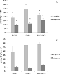 Attēlu rezultāti vaicājumam “Scorpidium revolvens”