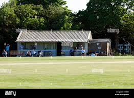 Image result for Alne Cricket Club
