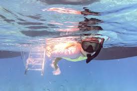 Image result for Wyndley NSC Snorkelling Club