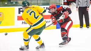 Image result for Norton Cyclones Skater Hockey Club