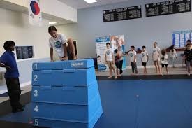 Image result for Les Voleurs Parkour Club