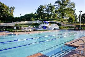Image result for Worcester Swimming Club