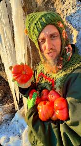 Afbeeldingsresultaat voor millionaire tomato