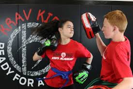 Image result for KA Martial Arts John's Creek