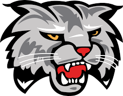 Image result for West London Wildcats