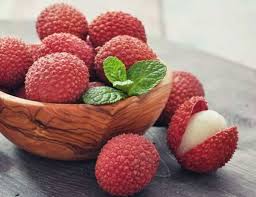 Image result for Litchi chinensis