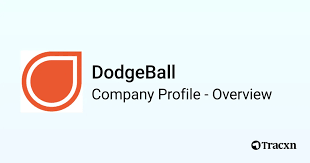 Image result for The Dodgeball Company