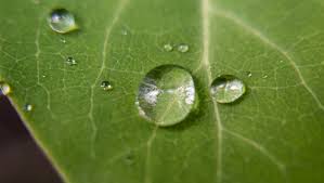 Attēlu rezultāti vaicājumam “macro”