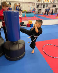 Image result for Skillz Martial Arts