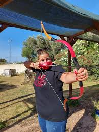 Image result for Penarth Bowmen