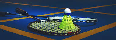 Image result for Aca Badminton Club