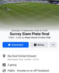 Image result for Peper Harow Cricket Club