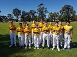 Image result for Mitcham Cricket Club