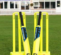 Image result for Woodmansterne Cricket Club