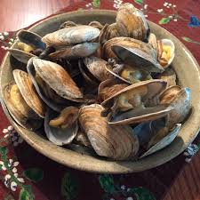 Image result for Clams