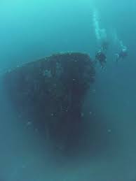 Image result for Maverick Divers