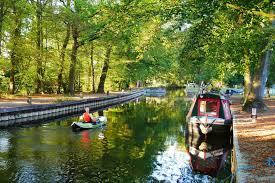 Image result for Basingstoke Sc