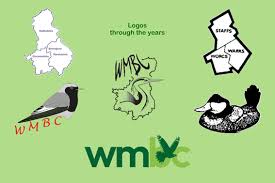 Image result for England Staffordshire Birding Club