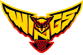 Image result for West Surrey Basketball Club