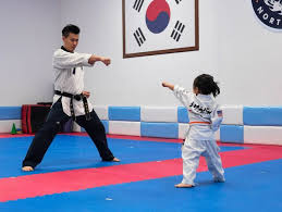Image result for Ndm Martial Arts