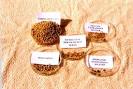 Common Adulterants in food and Simple screening test for ...