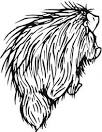 Porcupine coloring page