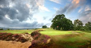 Image result for Reigate Hill Golf Club