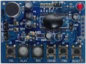 ISD-COB17150 Reference Design | Digital Audio System | Arrow.com