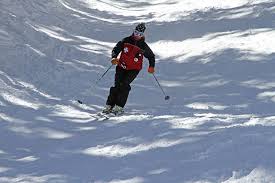 Image result for Gordon Skiers