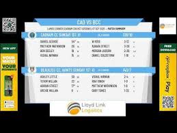 Image result for Cadnam Cricket Club