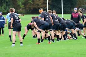 Image result for Harpenden Rugby Club