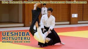 Image result for Fudokai Aikido Dojo