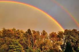 Attēlu rezultāti vaicājumam “Red Rainbows”
