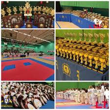 Image result for London Colney Tae Kwon Do  (I.T.F. / LTSI / A.F.T.)