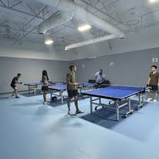 Image result for Northfield Table Tennis Club