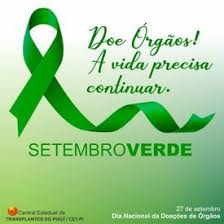 Image result for doação de órgãos