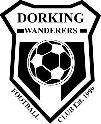 Image result for Dorking Wanderers F C