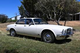 Image result for Tudor White 1982 Jaguar
