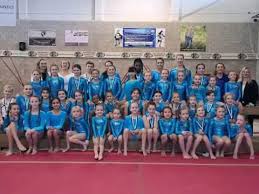 Image result for Mk Springers Gymnastics Club