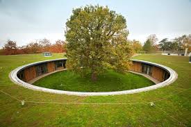 Image result for British Horse Society