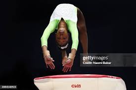 Image result for Carousel School Of Gymnastics