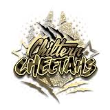 Image result for Chiltern Cheetahs American Football Club