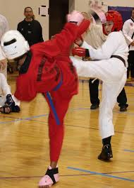 Image result for Absolute tae kwon do association
