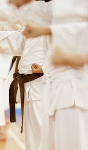 Image result for Nottingham Sankukai Karate