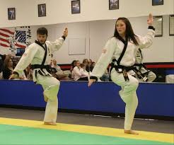 Image result for Martial Art Centre of Excellence