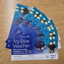 Image result for Aylesbury Ducks Sub Aqua Club