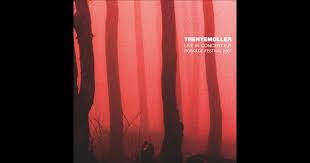 Image result for roskilde 2007