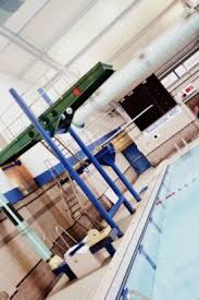 Image result for Trowbridge Swimming Club