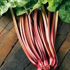 Attēlu rezultāti vaicājumam “Rheum rhabarbarum fruit”