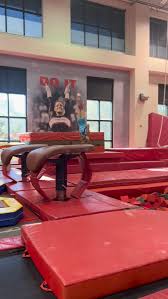Image result for Fish trampoline and gymnastics club